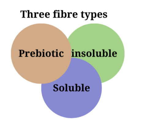 Infographic showing the three types of dietary fibre in a venn diagram, prebiotic fibre, insoluble fibre, soluble fibre