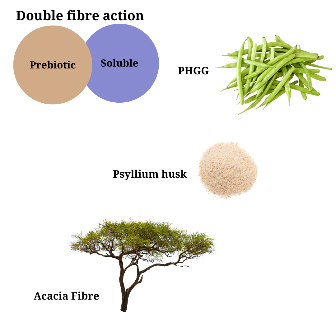 Diagram of fibre sources including prebiotic, soluble, PHGG, psyllium husk, and acacia fibre.