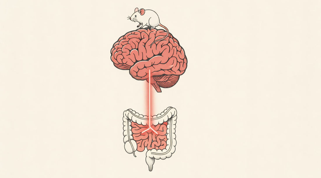 How Microbes Are Rewiring Medicine
