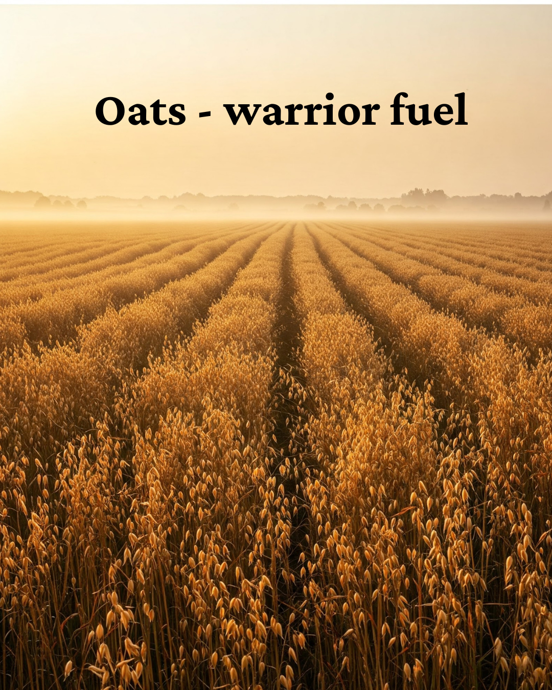 Oats - Warrior Fuel
