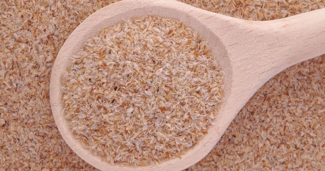 Psyllium husk on a wooden spoon showing what psyllium husk is and how many times its weight in water it absorbs for gut health and digestion.