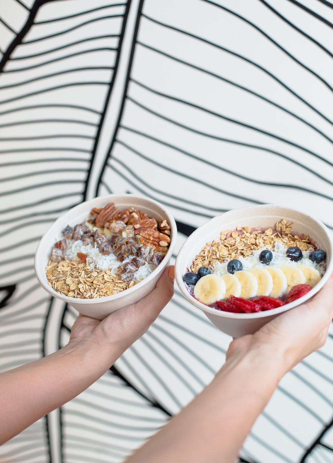 Synbiotic Foods: The Ultimate Guide to Prebiotic + Probiotic Meals for Better Gut Health