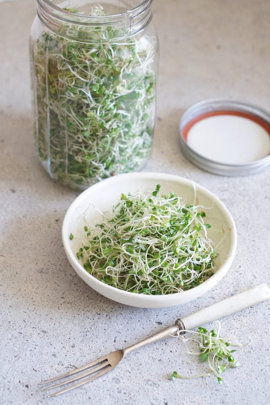 sprouted broccoli seeds in a jar and bowl