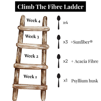An infographic showing a fibre titration protocol for IBS sensitive tummies high fibre routine.