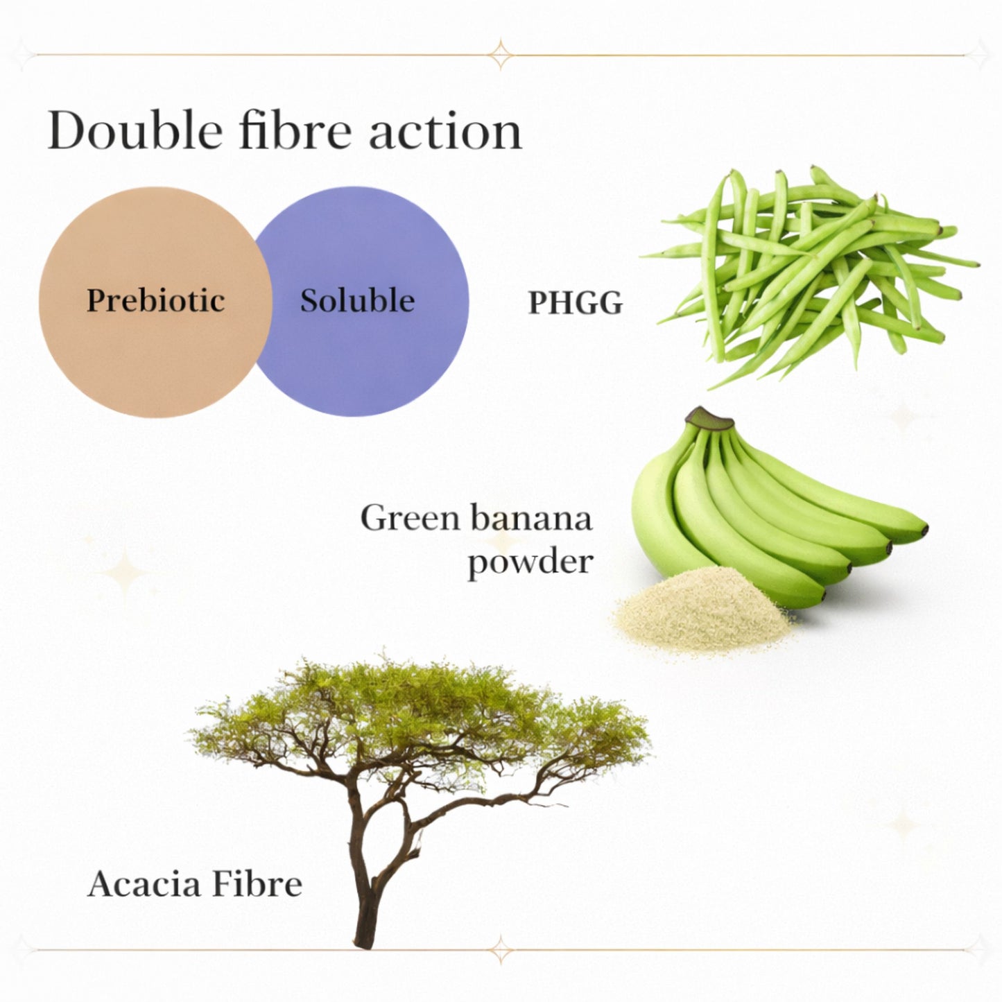 Diagram of fibre sources including prebiotic, soluble, PHGG, green banana powder, and acacia fibre.