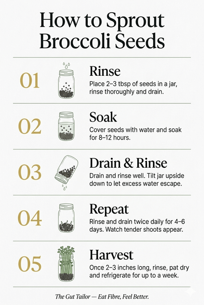 Step-by-step guide on how to sprout broccoli seeds with illustrations and text.