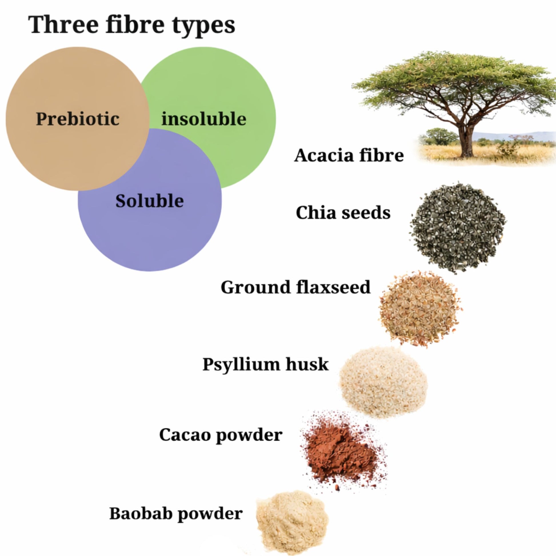 Diagram of three fiber types with examples including acacia fiber, chia seeds, ground flaxseed, psyllium husk, cacao powder, and baobab powder.