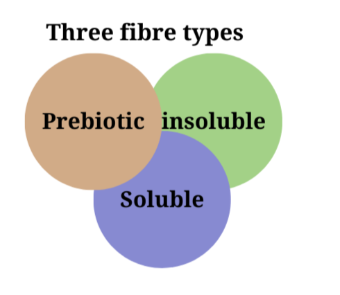 The Fibre Plan - Gradual Increase Fibre Supplement