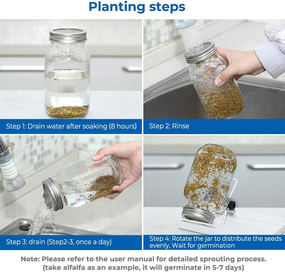 Infographic showing how to use a sprouting jar set to make bean sprouts and seed sprouts