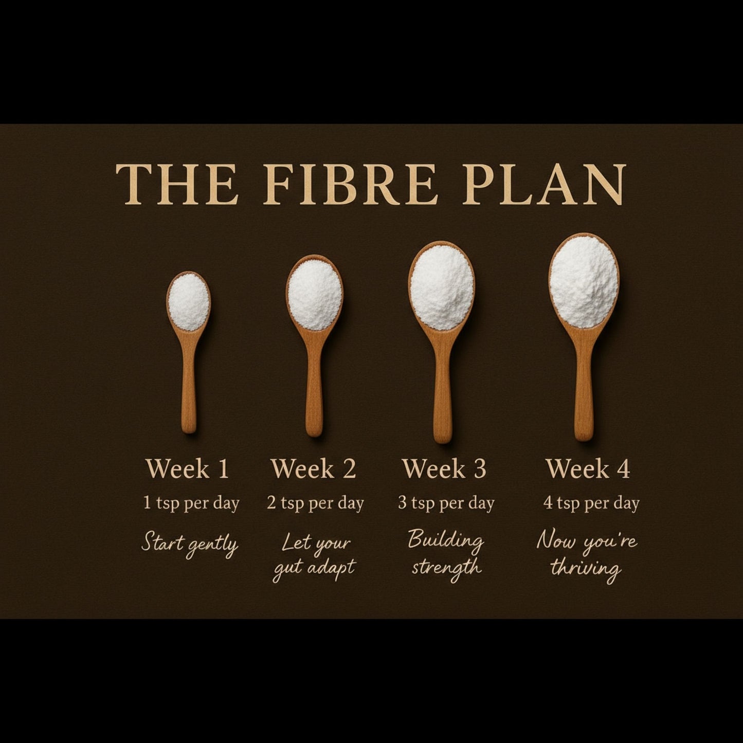 The Fibre Plan – gradual increase soluble & insoluble fibre supplement for IBS-friendly gut health