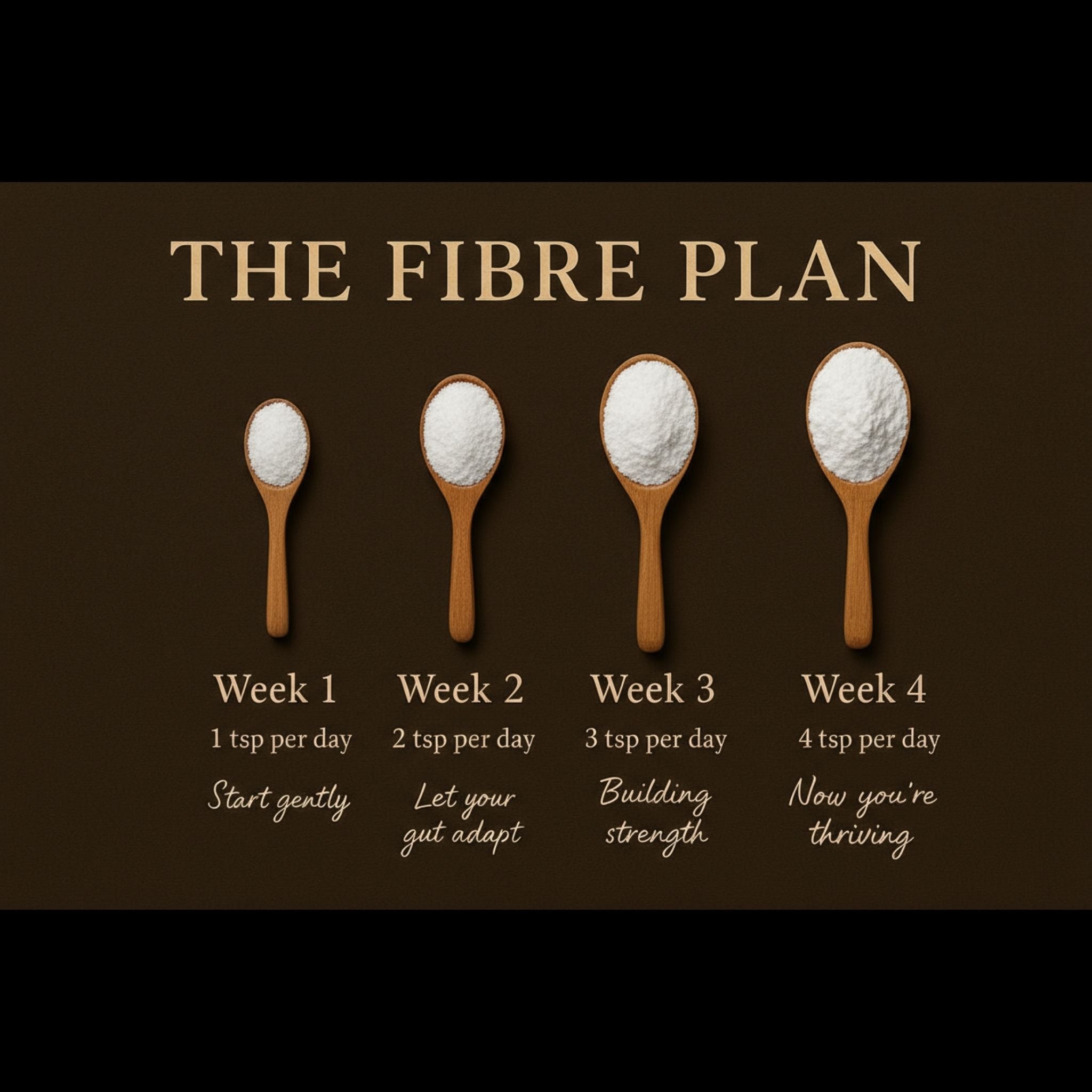 The Fibre Plan – gradual increase soluble & insoluble fibre supplement for IBS-friendly gut health